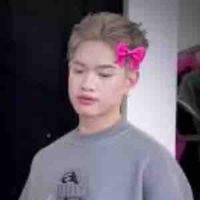 Nguyễn thanh pháp 