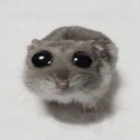 Skhuee