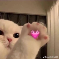 tác giả hay xàm
