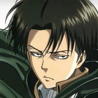Ackerman Levi
