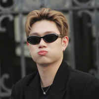 dương domic