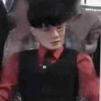 𝚋𝚎𝚎 𝚜𝚘𝚕 ⚡︎ t/g 