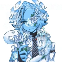 World Health Organization ( WHO)