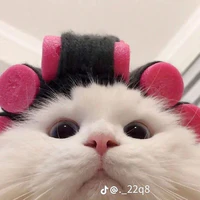 Vãn Cẩm Vân