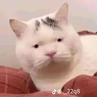 Thẩm Thiên Cơ