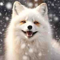 Đinh Trình Hâm ( Dạng cáo ) 