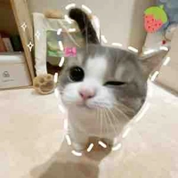 T/g