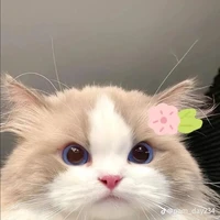 cừu nhỏ" hệ thống "