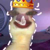 Thh trc