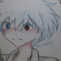 shinoka