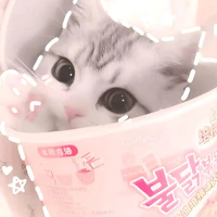 t/g đây:3