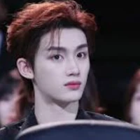 Đinh Trình Hâm