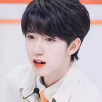 Hạ Tuấn Lâm
