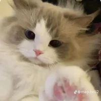 cụt cụt(t/g)