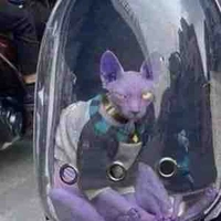 Uno ko thắng nổi°+