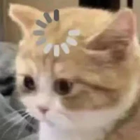all bot