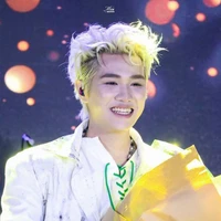 plynhzz ( tác giả )