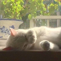 mẹ bảo yêu T :)