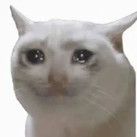Phi