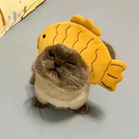 tác giả nèk mấy bồ