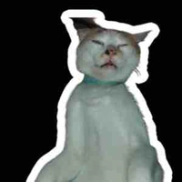 Mèo đưa tin