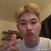 Dương Domic -Trần Đăng Dương