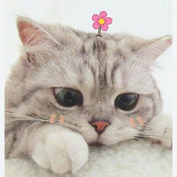 Hệ Thống/Đại Ca mỏ hổn