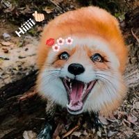 tác giả cute phô mai que:))