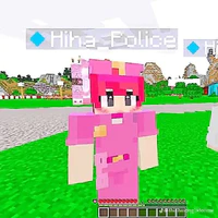 Hiha_police