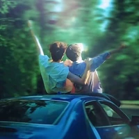 ıllı Sarlar ıllı