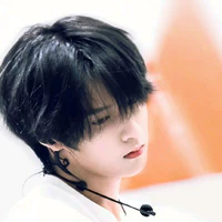 Lưu Diệu Văn 
