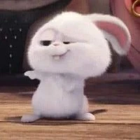 Tác giả