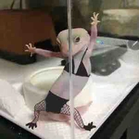 Tác giả bị lười💦