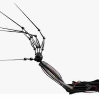 Ollie (avt này dg mom nó r)