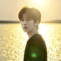 Hạ Tuấn Lâm
