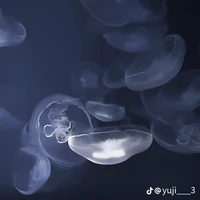 NV chưa biết
