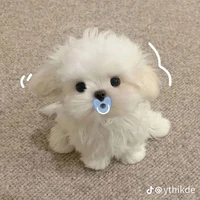 Tác Giả nè hehe