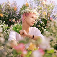 Nguyễn Thái Sơn - Jsol 🐱