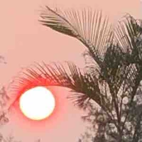 Hiệu  trường 
