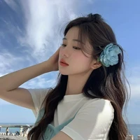 ari - duong