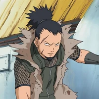 Nara shikaku