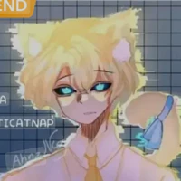 hiha_anti catnap