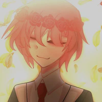 TT_hiha