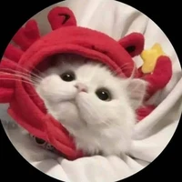 Tác giả