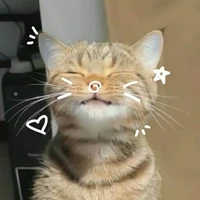 oli chan