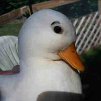 All lớp (-bad guys vs start sans)