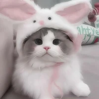 hệ thống cute 102