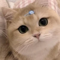 Saiko