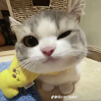 t/g đgai