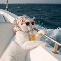 hệ thống (meo nghèo lợi hại)